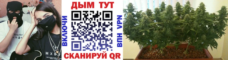 Наркота Пущино Галлюциногенные грибы Мефедрон Alpha PVP Гашиш COCAIN Каннабис