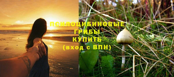 прущие грибы Алзамай