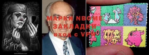 прущие грибы Алзамай