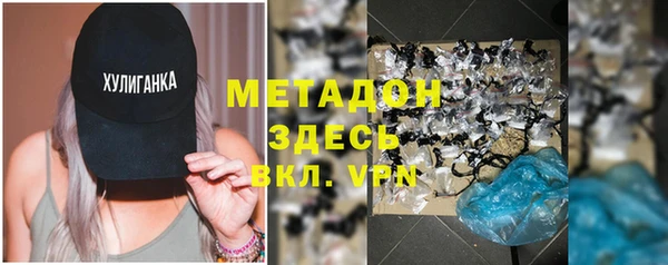 прущие грибы Алзамай
